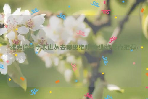雅克德罗手表进灰去哪里维修(专业维修点推荐)
