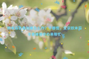 欧米茄表盘划痕怎么办？不要慌，北京欧米茄手表维修中心来帮忙